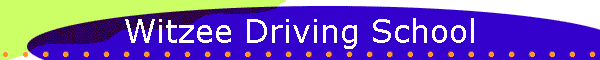 Witzee Driving School